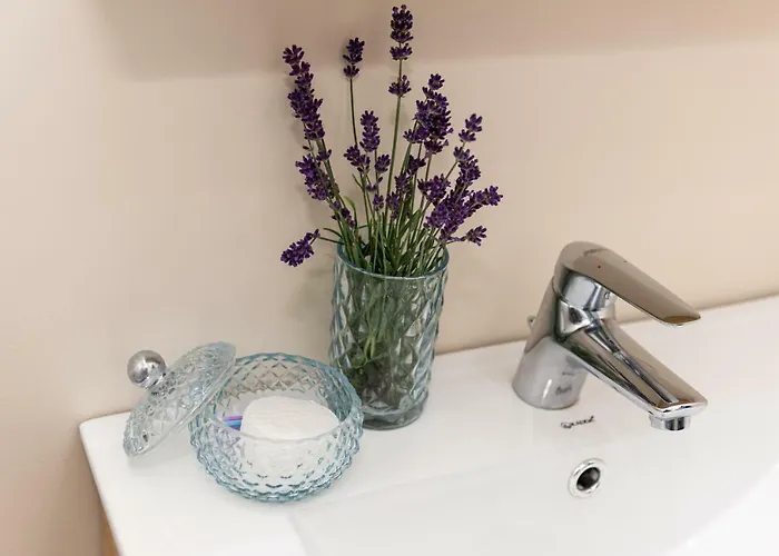 Apartament Casa Miron 1 *